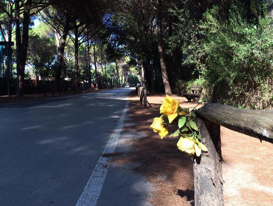 Rubano i fiori sulla strada dove morì Sara 