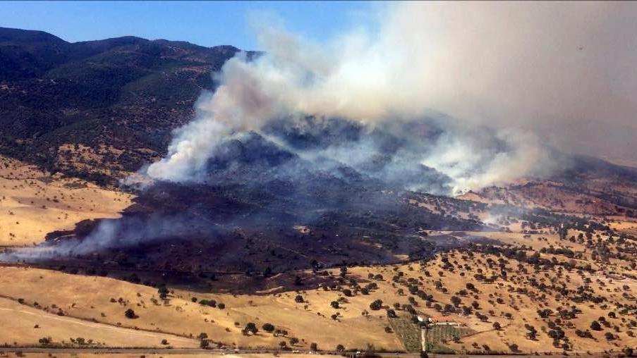 Uno degli incendi che in questi giorni stanno devastando la Sardegna