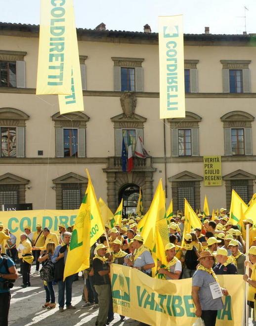 Farina di castagne in pericolo per i cinghiali 