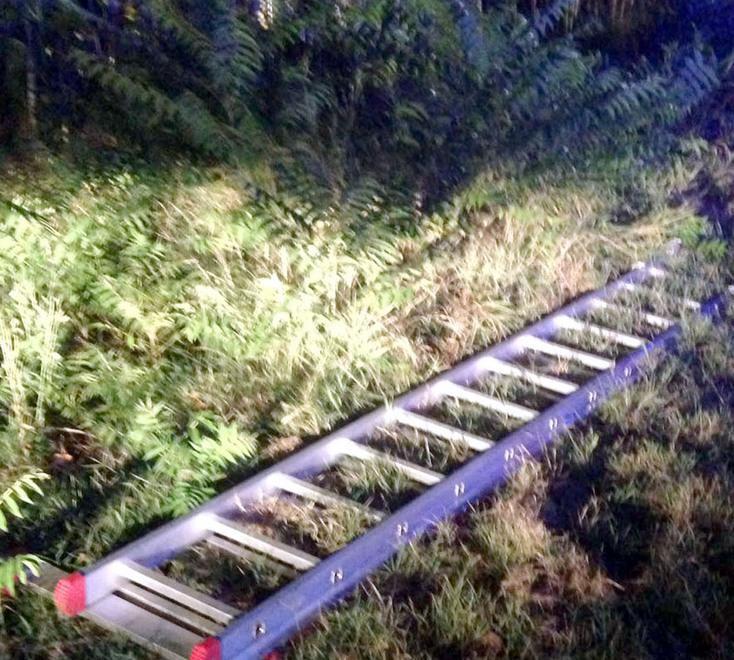 S’arrampica sul palo e cade, in rianimazione un agricoltore 