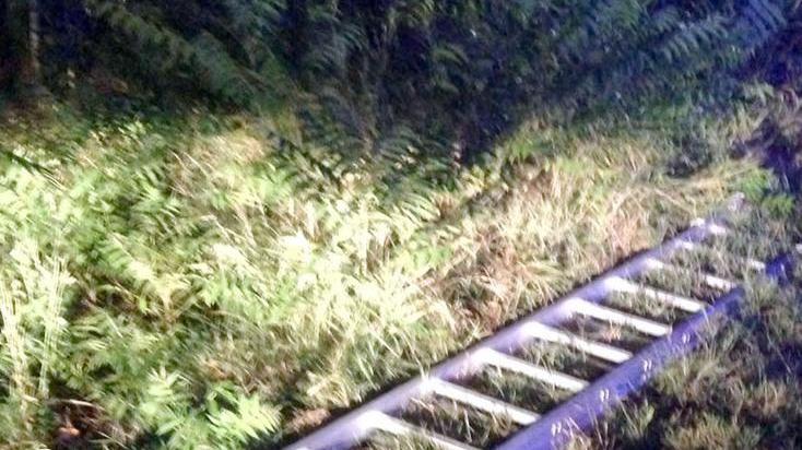 S’arrampica sul palo e cade, in rianimazione un agricoltore