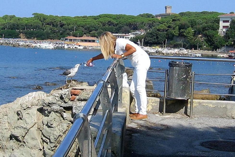 «Mangia dalle mie mani e torna ogni mattina» 