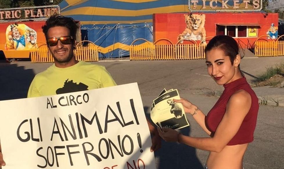 Un flash mob contro gli spettacoli del circo con animali