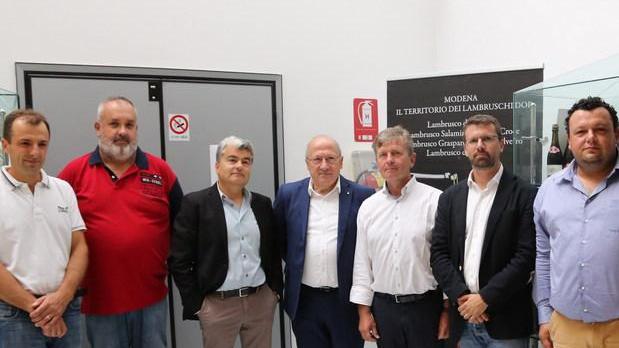 Crollano i prezzi: il Lambrusco piange Alleanza tra cantine