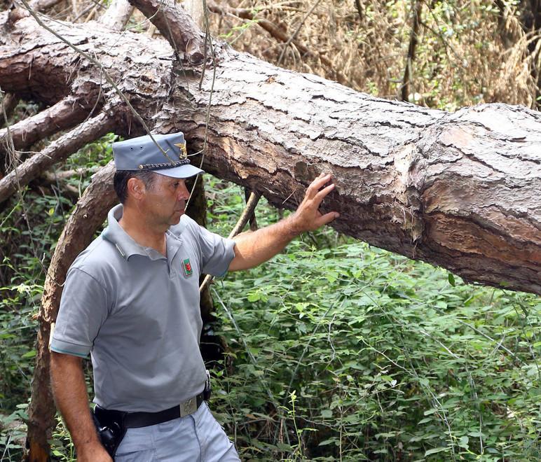 Tra le tante attività lotta agli incendi e al bracconaggio 