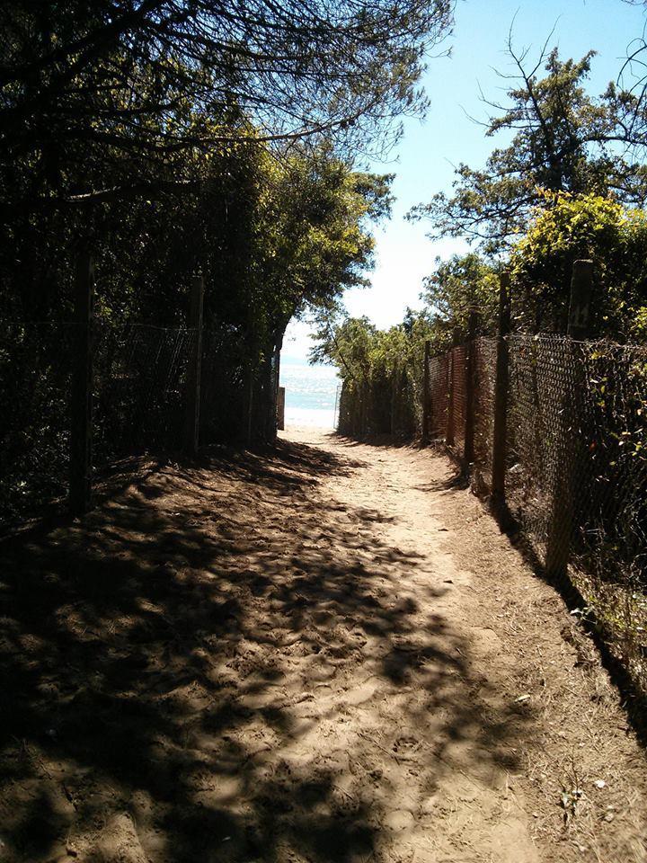 Vialetto d'ingresso al bagno Tirseno (foto da Fb "Campeggio Bagno Ideal Tirseno")