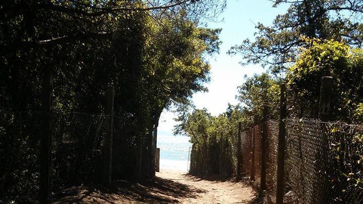 Vialetto d'ingresso al bagno Tirseno (foto da Fb "Campeggio Bagno Ideal Tirseno")