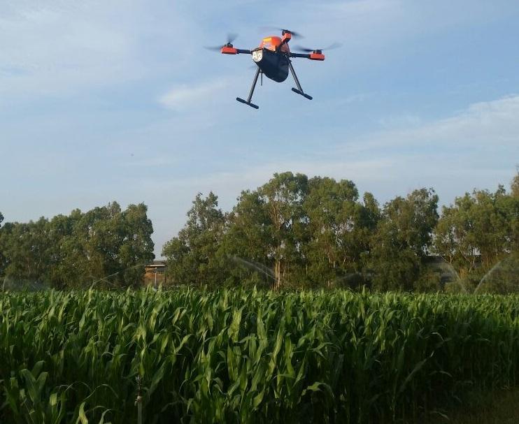 Il drone utilizzato sui campi di mais