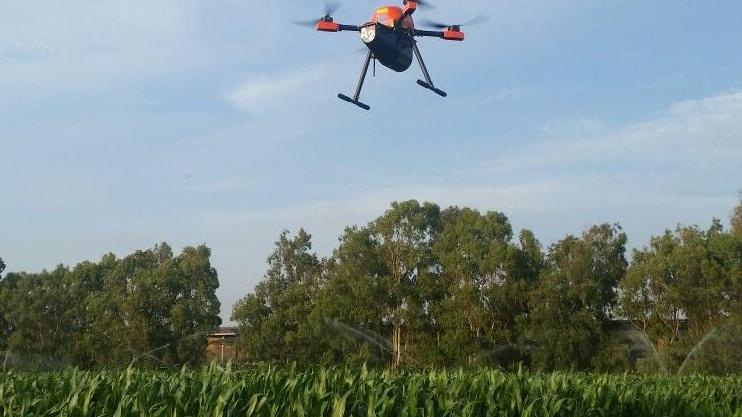 Il drone utilizzato sui campi di mais