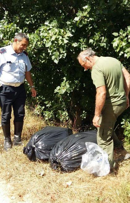 Sacchi di rifiuti abbandonati con scarti di animali