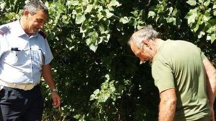 Sacchi di rifiuti abbandonati con scarti di animali