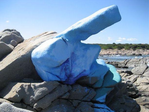 Dalla tartaruga decapitata alle rocce della Brigliadori