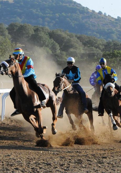 Fonni, oggi l’atteso Palio dei comuni: ai canapi 16 cavalli 
