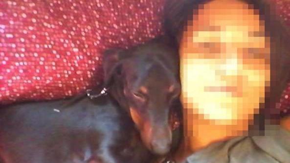 Il bassotto morto dopo essere stato lanciato dal finestrino di un'auto