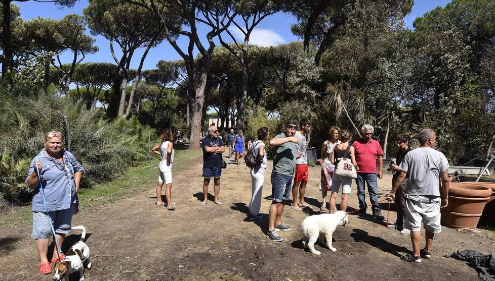 Maxi rogo a Principina: il vivaio non molla, gara di solidarietà per ripartire - Video