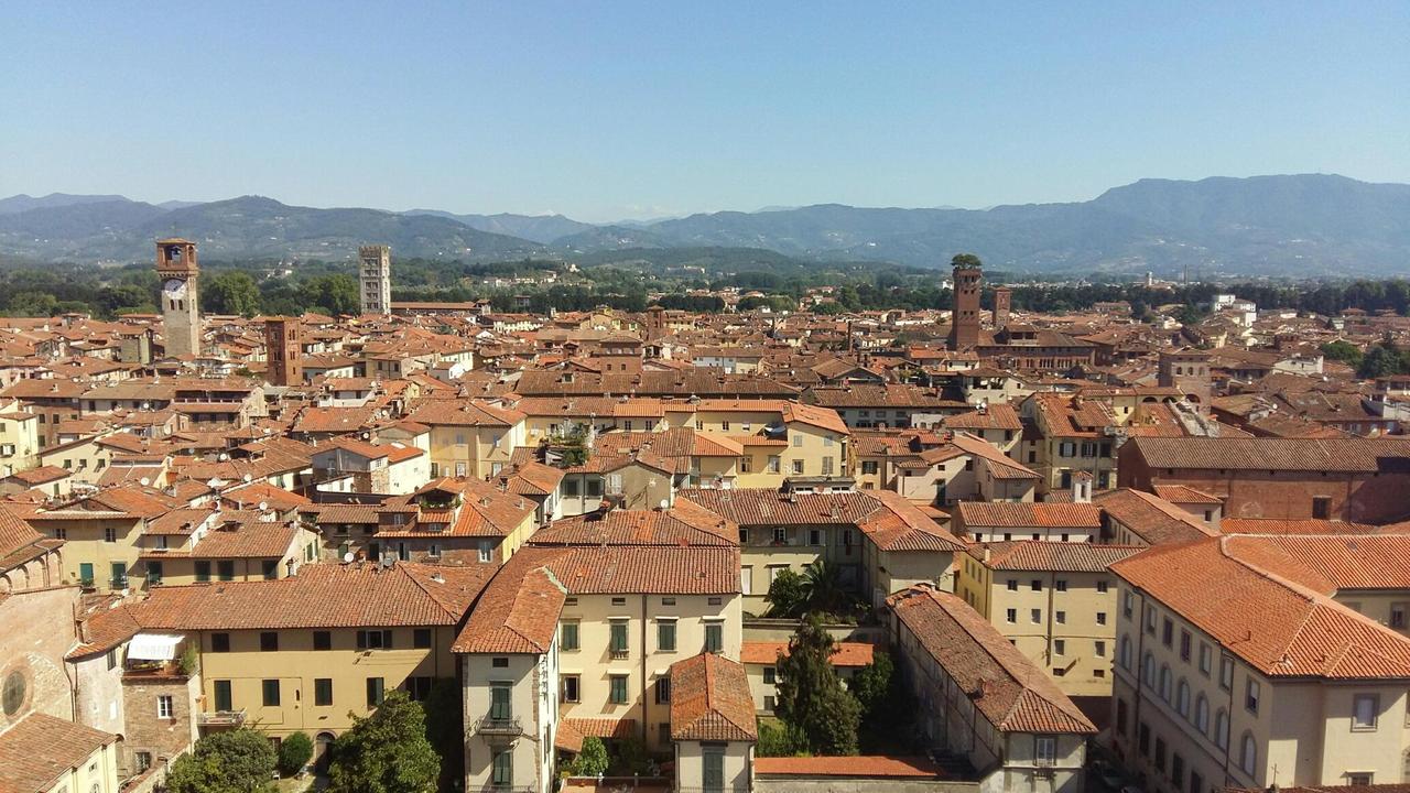Il centro storico di Lucca visto dal campanile della Cattedrale