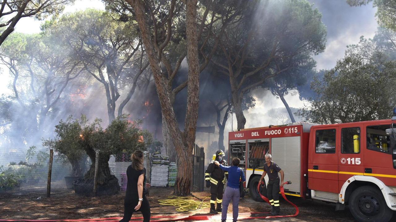 L'intervento dei vigili del fuoco, sabato 6 agosto, per spegnere le fiamme che hanno semidistrutto il Vivaio Principina e 3 ettari e mezzo di pineta (foto Agenzia Bf)