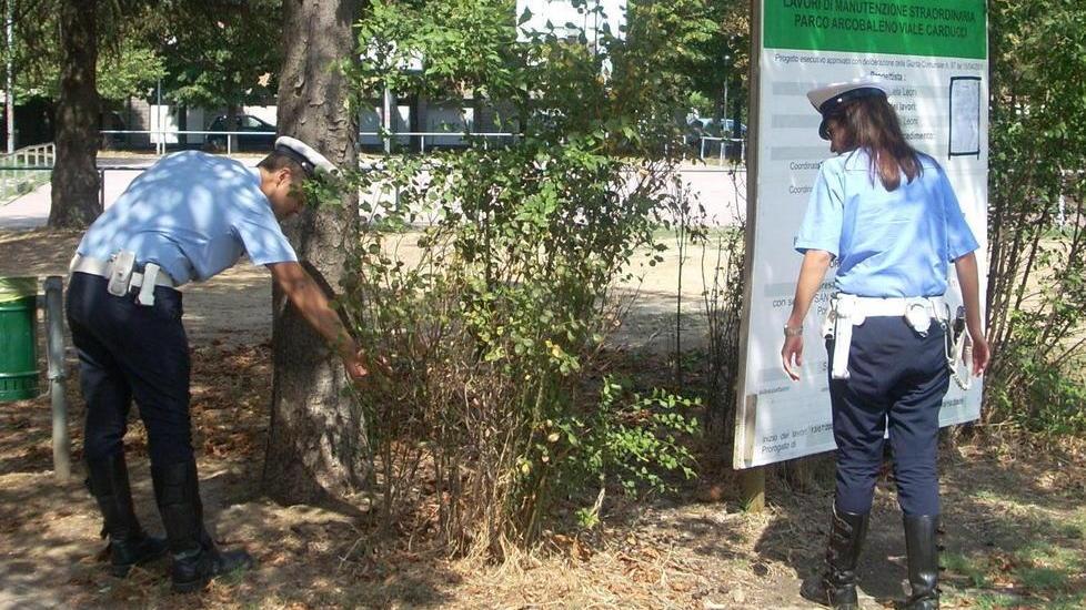 Il parco Arcobaleno di Sassuolo è a rischio