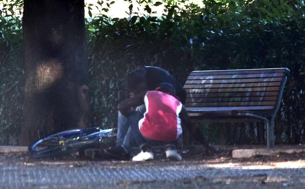 La droga viene spesso nascosta sotto le foglie come avvenuto (e fotografato) nel parco (Foto Agenzia Carlo Sestini)