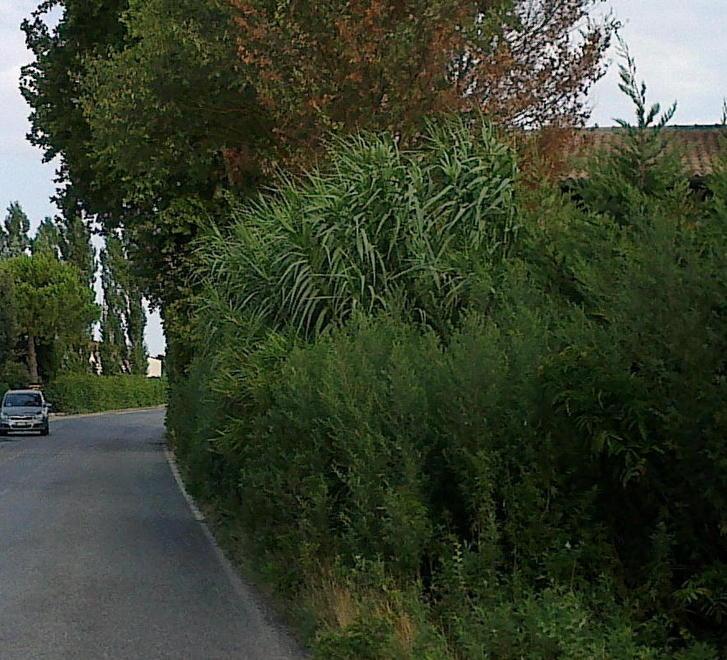 Strade ex provinciali, ci sono i soldi i cantieri partiranno a breve 