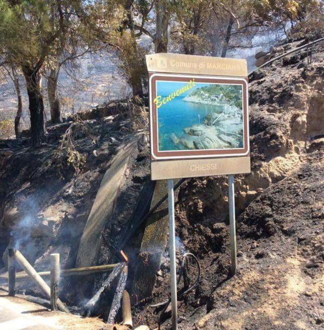 Il lato triste delle fiamme, cani e tre asini carbonizzati 
