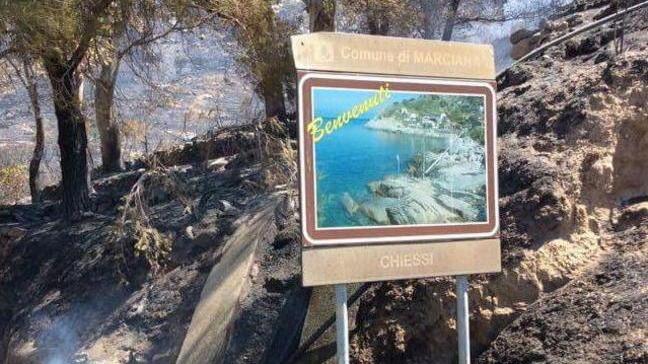 Il lato triste delle fiamme, cani e tre asini carbonizzati