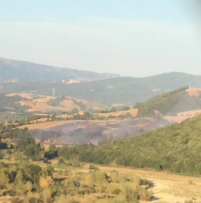 In fumo ettari di bosco a Scansano 