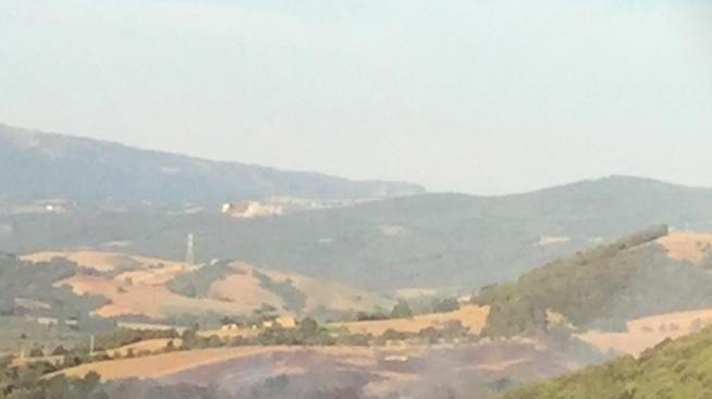 In fumo ettari di bosco a Scansano