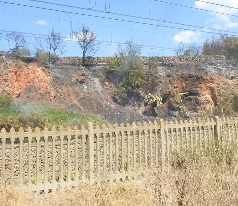 Treni fermi, tensione alla stazione 