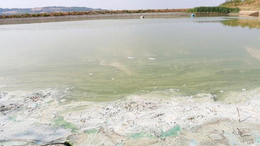 Blitz di finanza e municipale alla piscina del Gelso Bianco