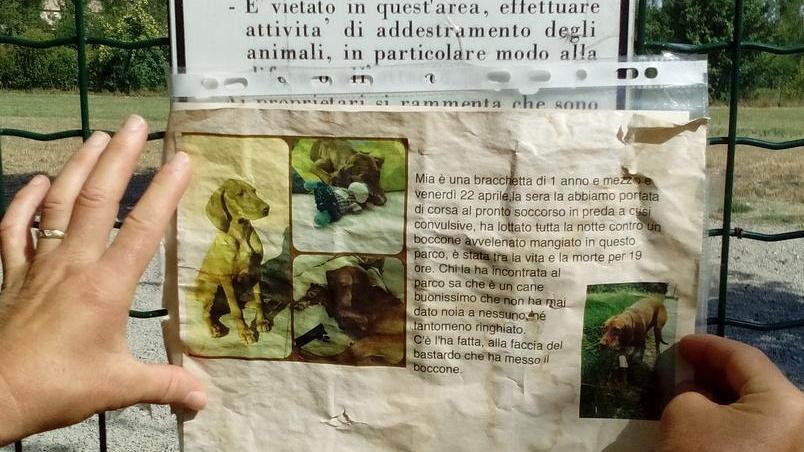Mia avvelenata, al parco resta la paura