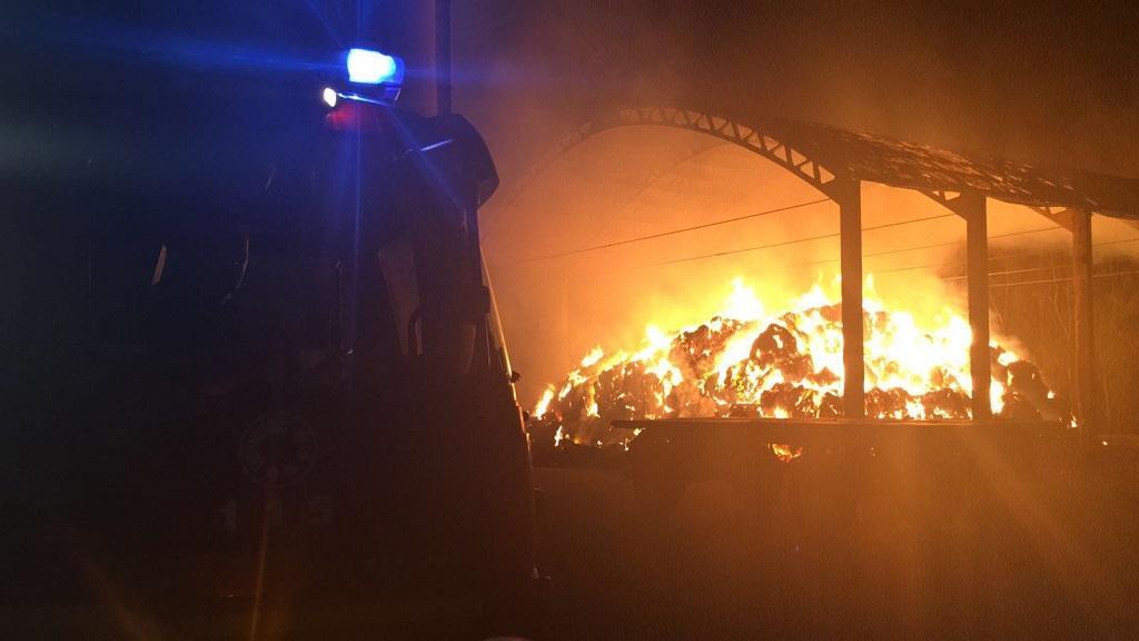 L'azienda agricola incendiata (foto Onnis)