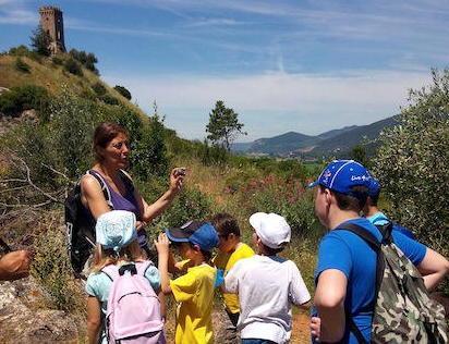 Sport e musei, i campi solari alla Certosa 