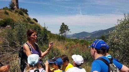 Sport e musei, i campi solari alla Certosa