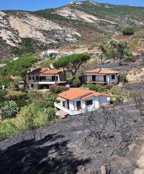 Rogo causato dal fuoco sfuggito di mano 