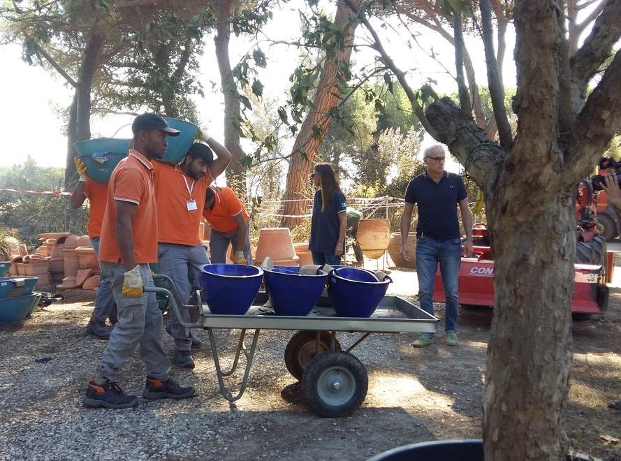 Dodici migranti in aiuto al vivaio 