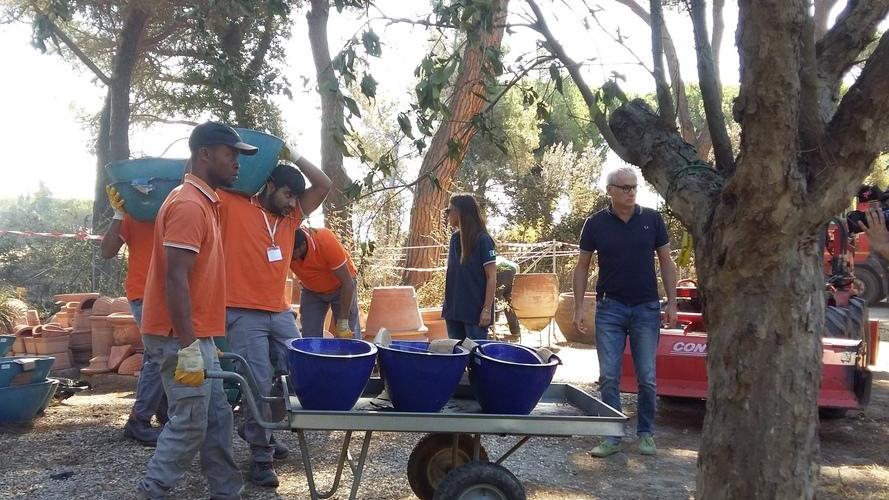 Dodici migranti in aiuto al vivaio