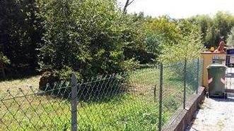 Cinghiali davanti casa a San Macario Paura tra i residenti