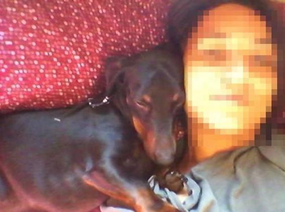 Bassotto ucciso, per ora nessun indagato 