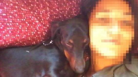 Bassotto ucciso, per ora nessun indagato