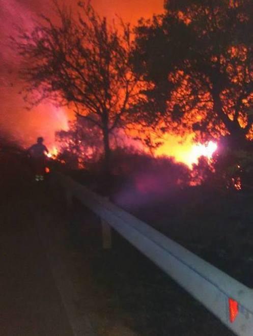 Vigili del fuoco: «Un ruolo marginale nella convenzione» 