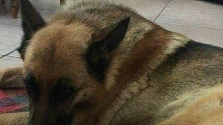 Solidarietà per salvare Michelle