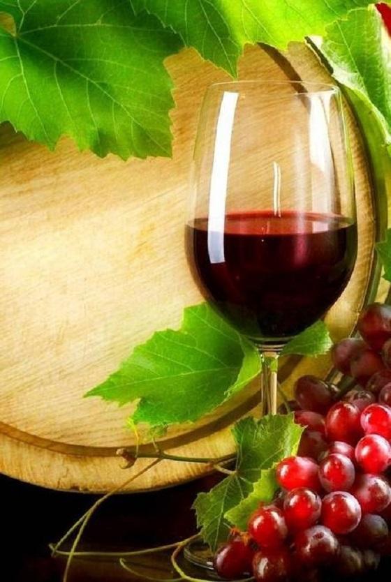 I vini della Sardegna premiati dal Touring Club Italiano