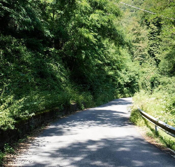 Le condizioni della viabilità sulla Val di Forfora (foto Nucci)