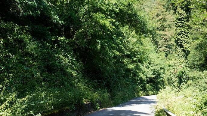 Le condizioni della viabilità sulla Val di Forfora (foto Nucci)