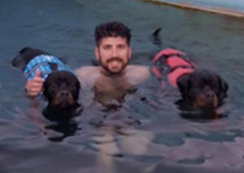 La passione di Thomas preparatore atletico di cani da passerella 
