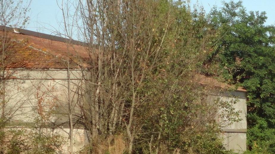 «I cimiteri delle frazioni nel degrado»