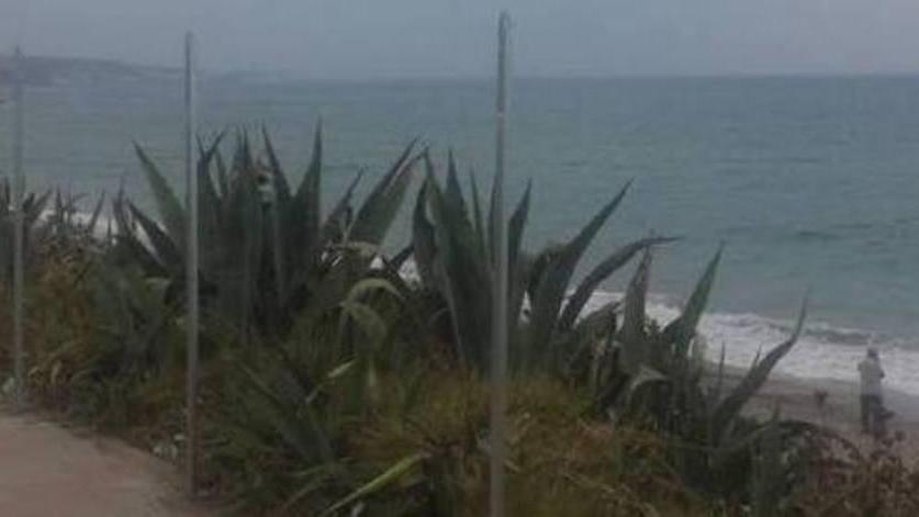 Nel lungomare di Platamona appare una rete da pollaio