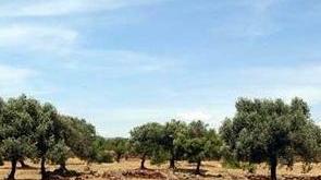 Santa Cristina, palcoscenico per le stelle