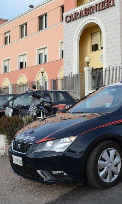Scoperte 700 piante di marijuana 